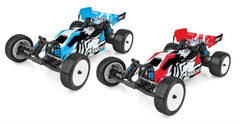 Team Associated: RB10 RTR 1/10 Electric 2WD Brushless Buggy Combo w/2.4GHz Radio, DVC & Battery & Charger (Multiple Colors Available) (ASC90031)